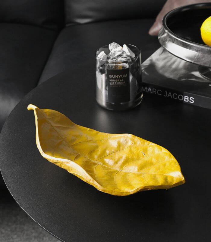 Botanica Leaf Catchall Tray Collection - Nature-Inspired Decorative Accent (Available in 3 Sizes & Colors)