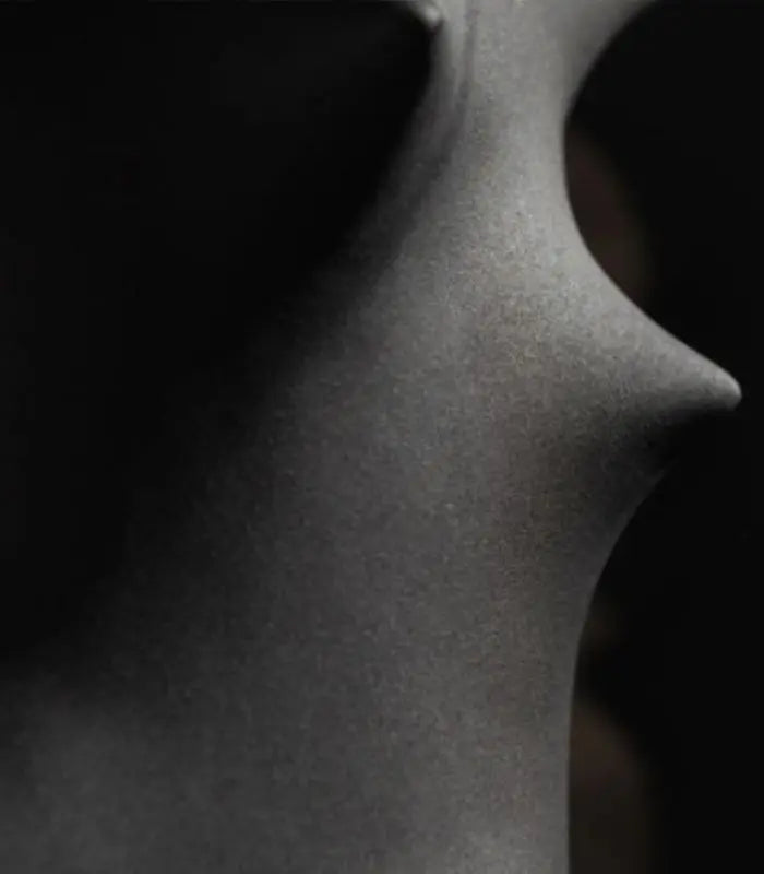 Thorn Matte Black Ceramic Vase – Sculptural Spiked Design