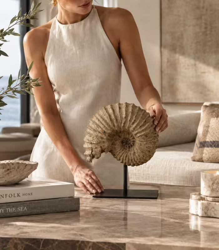 Nautila Decorative Fossil Sculpture | Sculptural Shell Object on Stand 29 cm / 11.4 in