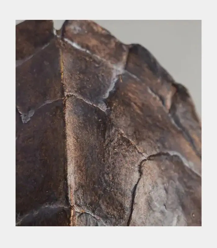 Terrapin Resin Sculpture – Compact Tortoise Shell Decorative Accent 32 cm