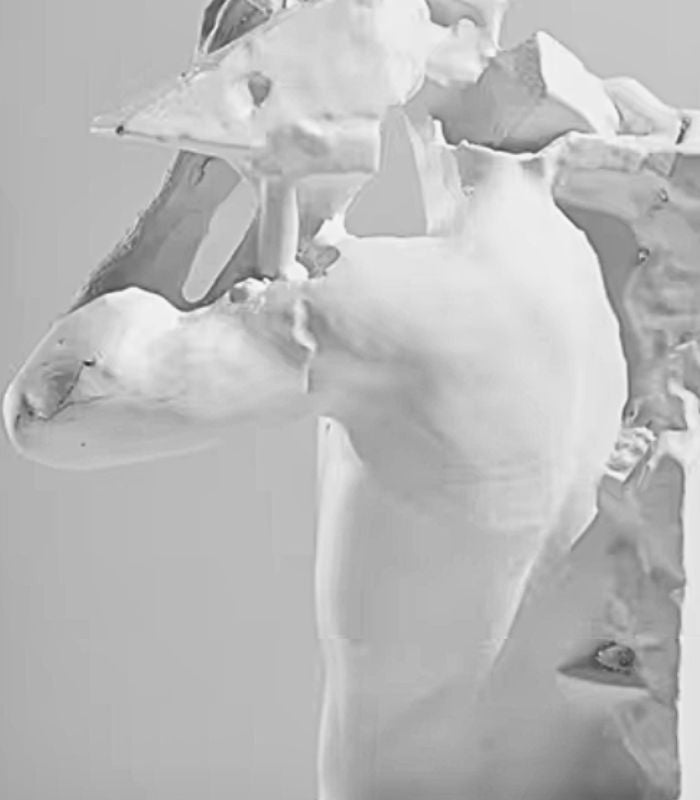 Set 2 Pcs Modern Abstract Human Form Bookends - Artistic Resin Sculpture Set