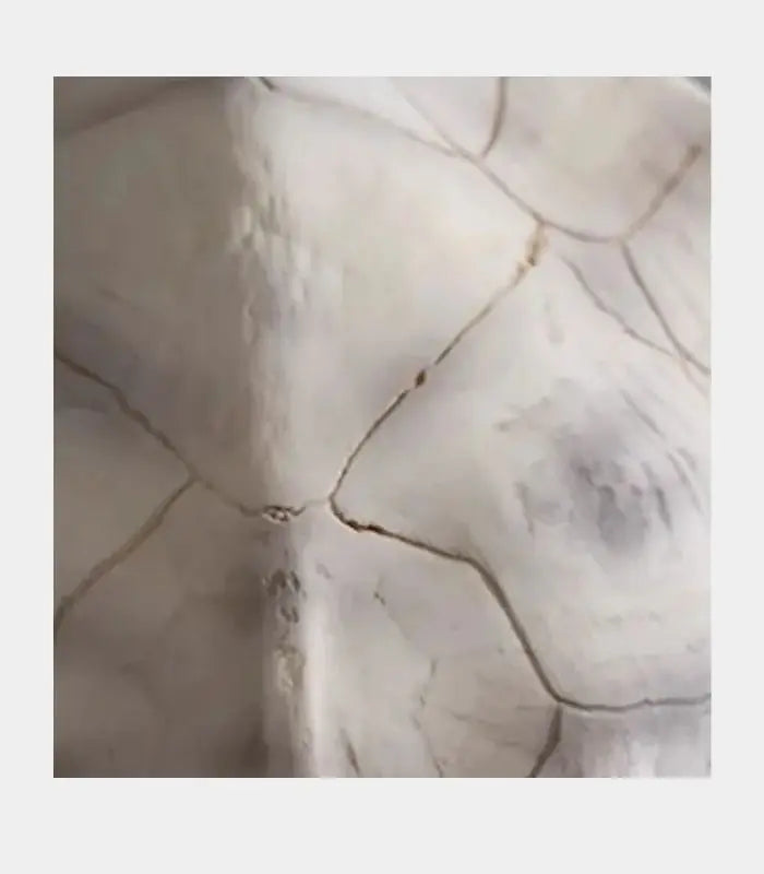 Carapace Resin Sculpture – Tortoise Shell Decorative Accent
