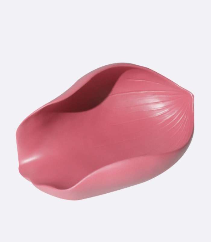 Modern Decorative Fruit Bowl Tray Lotus Petal Resin