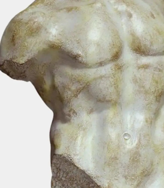 Classical Adonis Torso Sculpture on Stand - Elegant Home Gallery Statue Large 71 cm (28 inch)