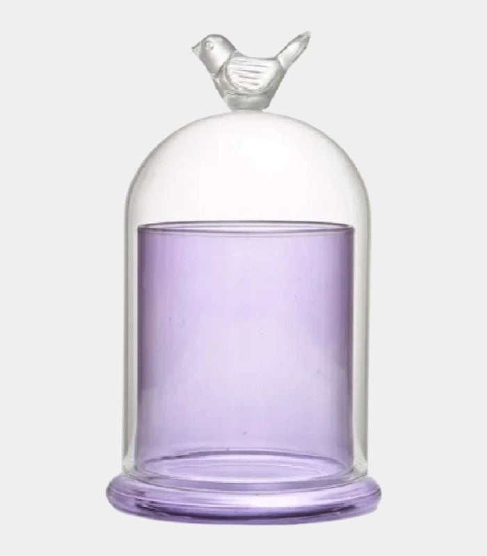 Glass Cloche Candle Holder with Bird Finial – Decorative Display Dome