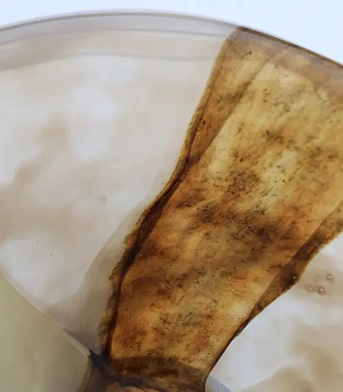 Decorative Bowl - Amber Swirl Handcrafted Glass 27.7 cm