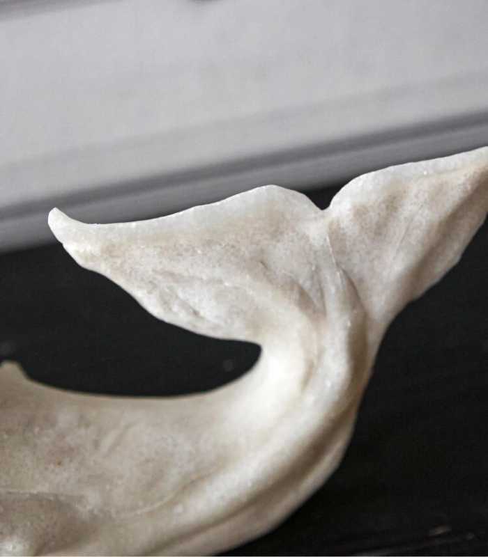 Set 2pcs White Whale Decorative Bookends Resin 40.5 cm