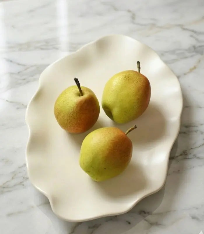 Lotus Ceramic Collection – Organic Serveware in Three Sizes Dinnerware Plates