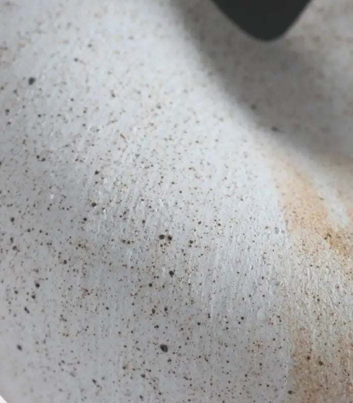 Amara Decorative Ceramic Vase – Organic Sculptural Design