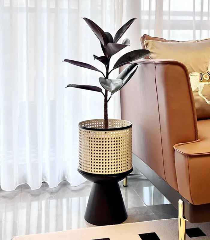 Indoor Plant Stand Planter Decorated Rattan Iron Black