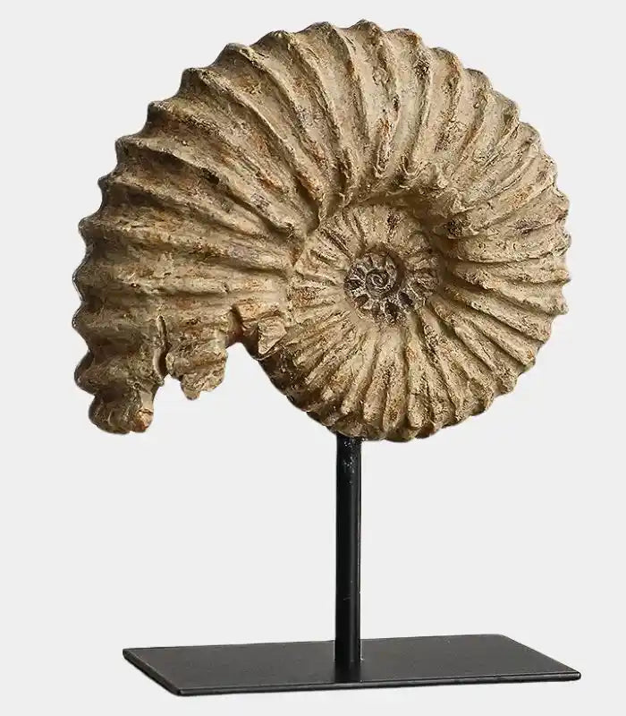 Nautila Decorative Fossil Sculpture | Sculptural Shell Object on Stand 29 cm / 11.4 in