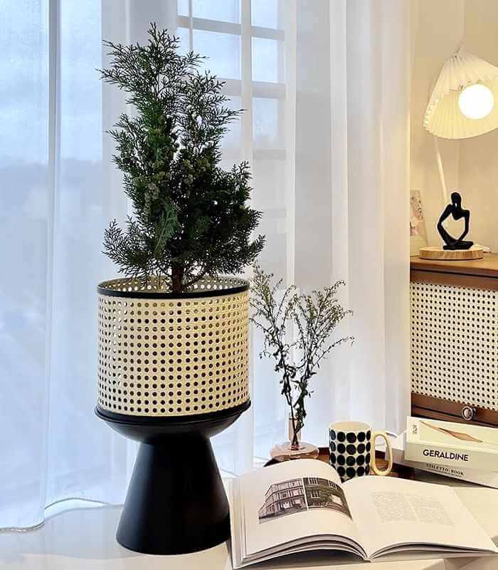 Indoor Plant Stand Planter Decorated Rattan Iron Black