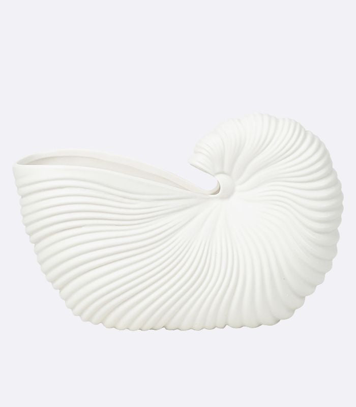 Ceramic Shell Pot Oceanic Vessel Collection Matt White
