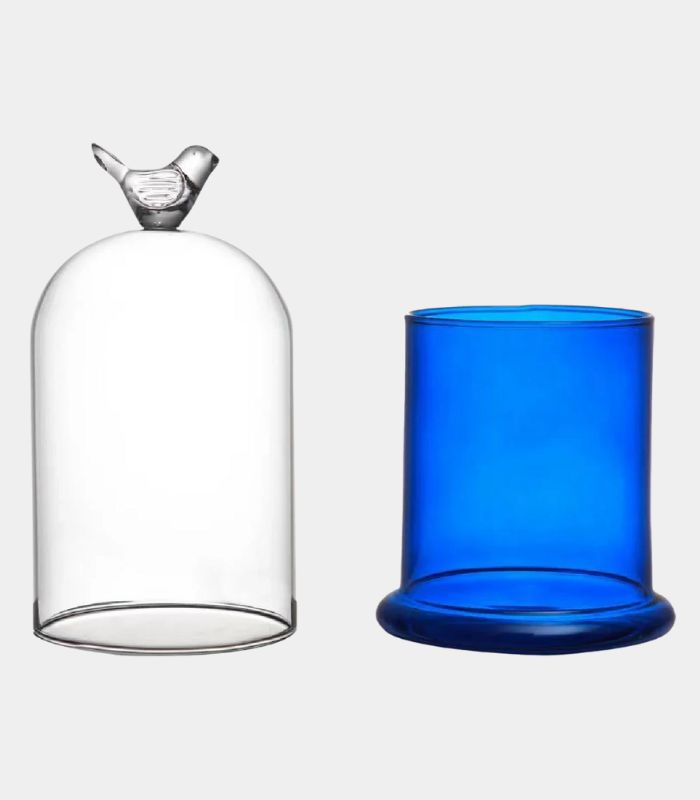 Glass Cloche Candle Holder with Bird Finial – Decorative Display Dome