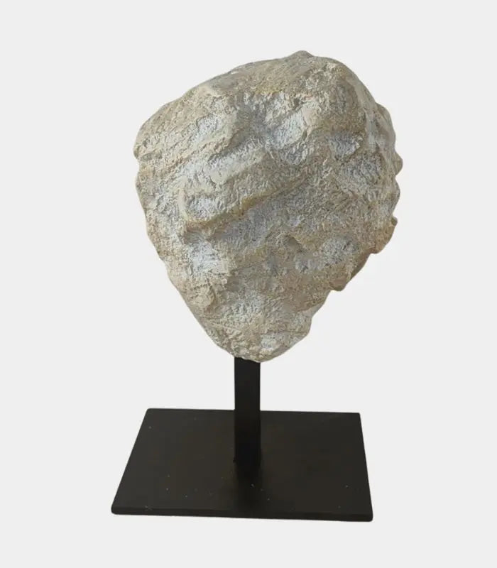 Timeless Sculpture Head – Neoclassical Stone Art Piece Resin 22 cm