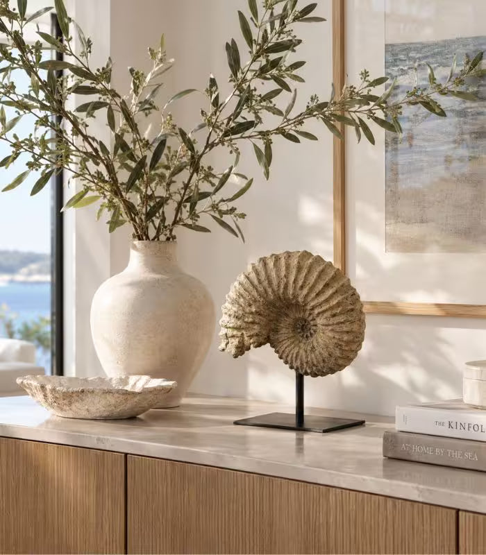 Nautila Decorative Fossil Sculpture | Sculptural Shell Object on Stand 29 cm / 11.4 in
