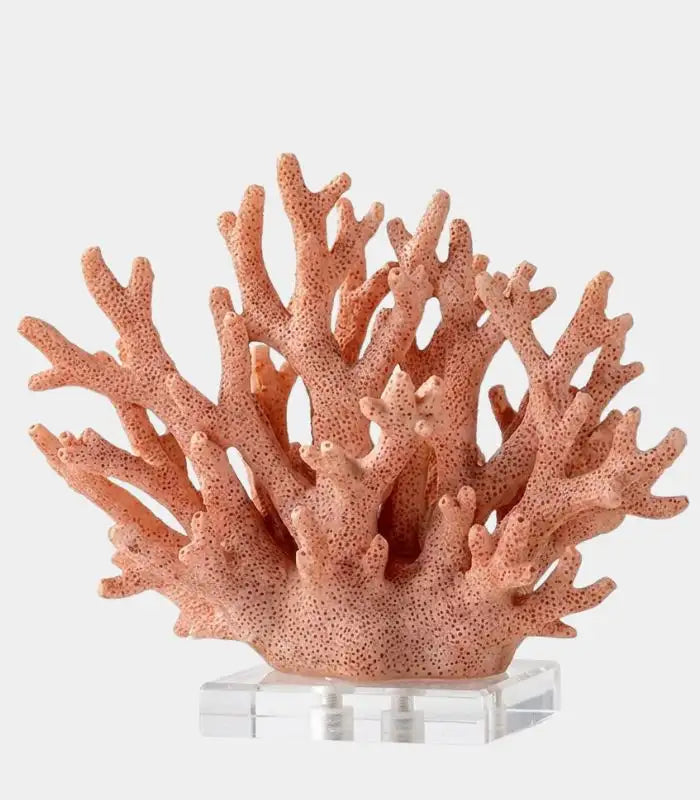 Palermo Decorative Resin Coral Sculpture – Coral Pink, Acrylic Display Base