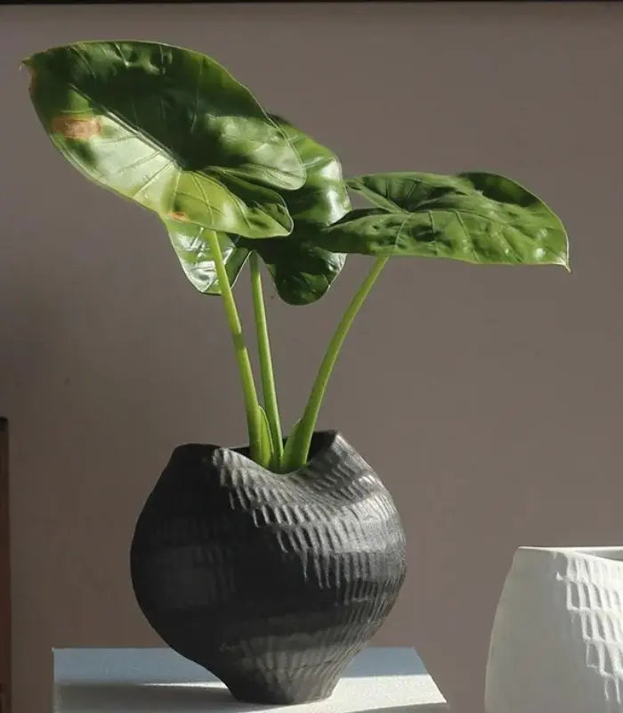 Ripple Ceramic Vase – Textured Sculptural Design Black
