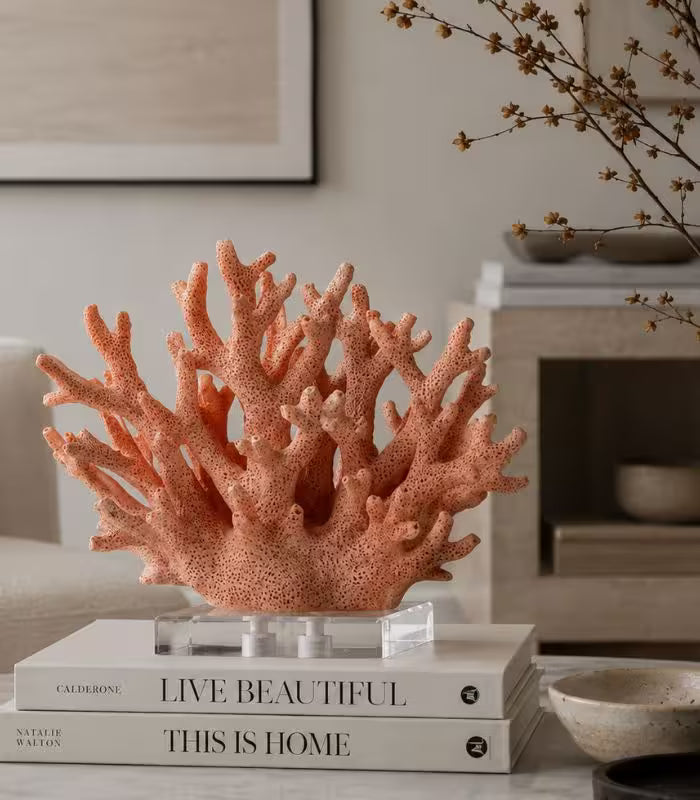 Palermo Decorative Resin Coral Sculpture – Coral Pink, Acrylic Display Base