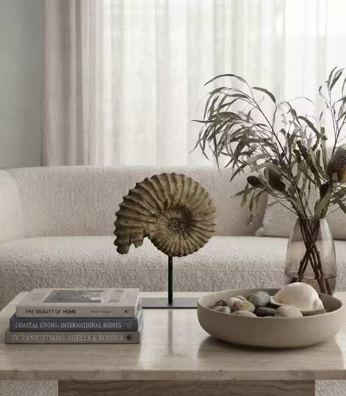 Nautila Decorative Fossil Sculpture | Sculptural Shell Object on Stand 29 cm / 11.4 in