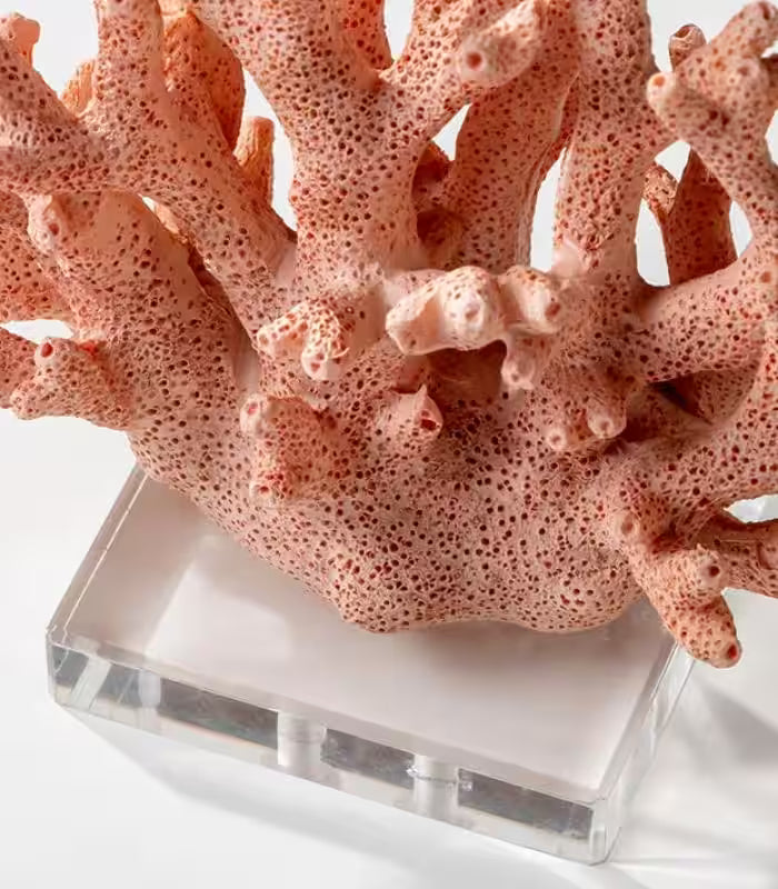 Palermo Decorative Resin Coral Sculpture – Coral Pink, Acrylic Display Base