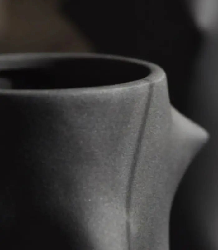 Thorn Matte Black Ceramic Vase – Sculptural Spiked Design