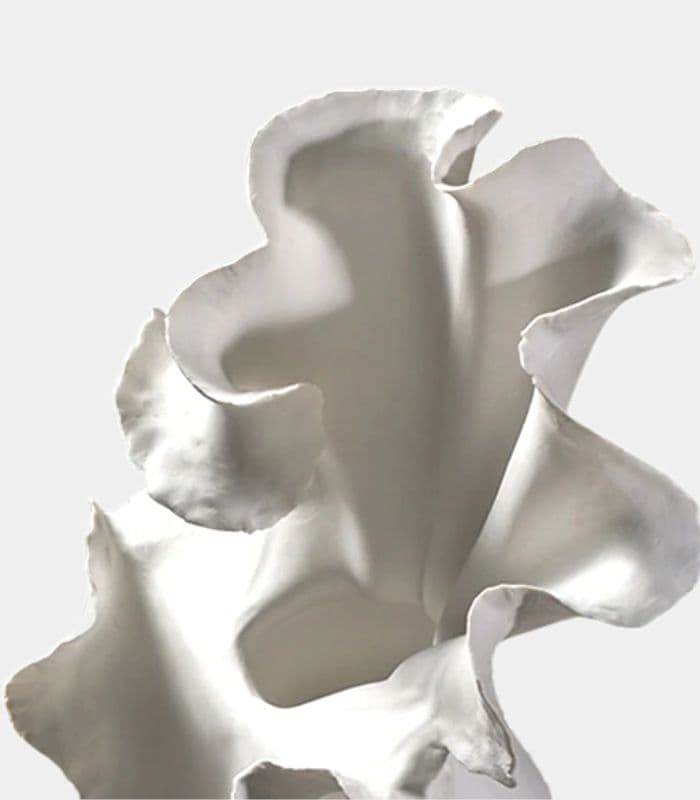 The Iris Sculptural Ceramic Vase