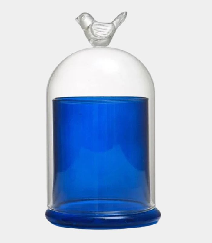 Glass Cloche Candle Holder with Bird Finial – Decorative Display Dome