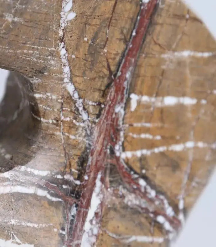 Fossilized Marble Sculptural Object