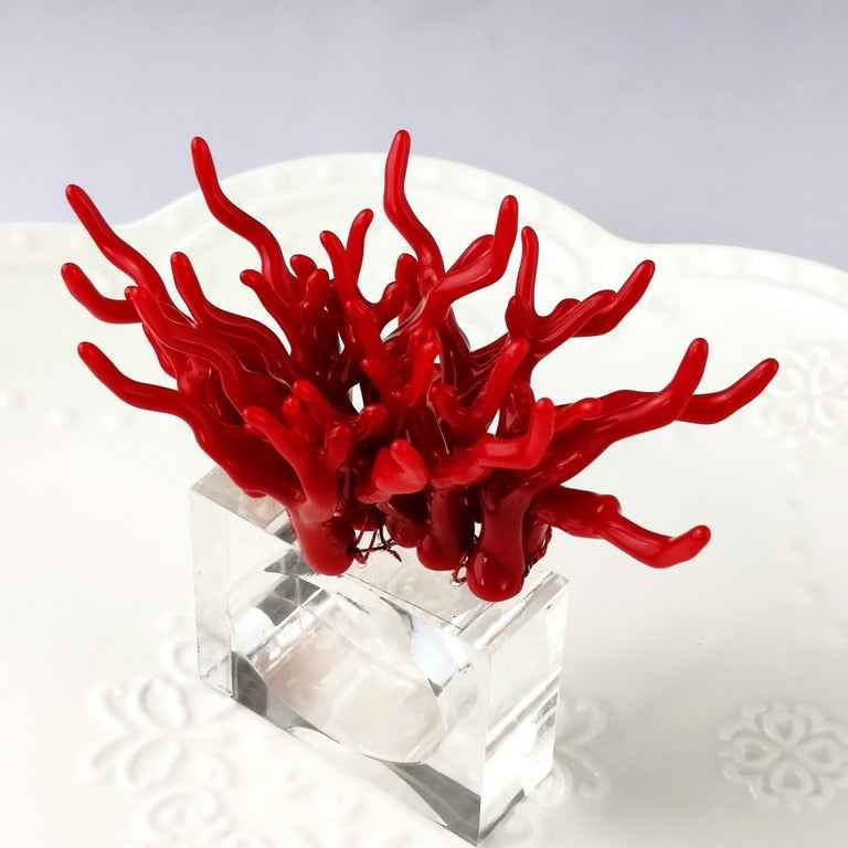 Set of 4 Acrylic Faux Coral Napkin Rings Napkin Holder 4